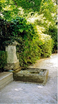 alter Brunnen  Gartenbau Flohr